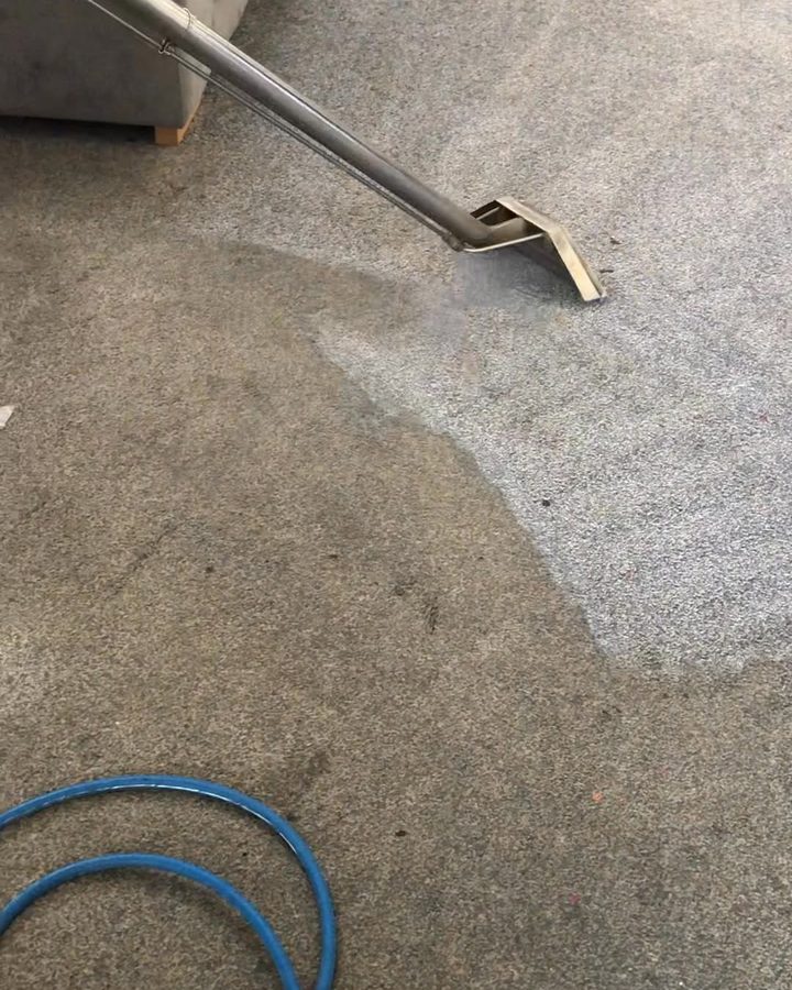 A lounge carpet halfway through a clean, the cleaned part lighter