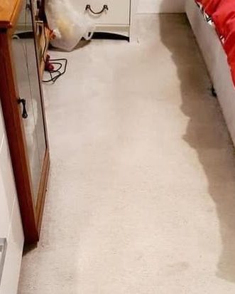 The same carpet cleaned, walkway gone