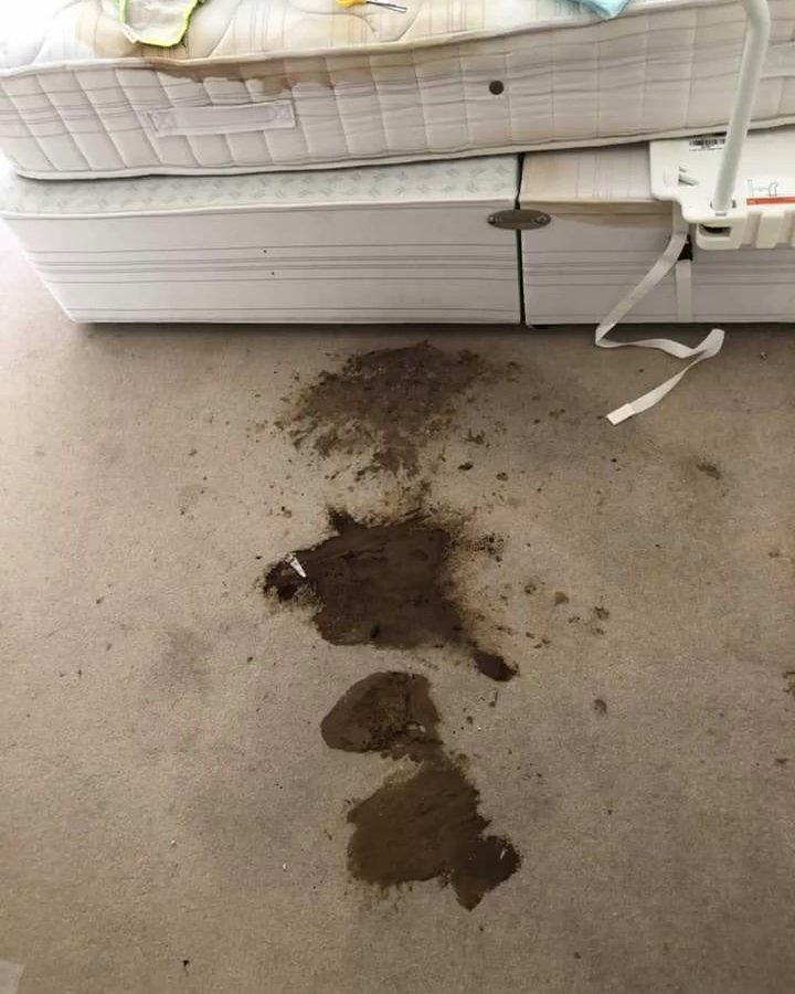 A beige bedroom carpet with large brown stains next to the bed
