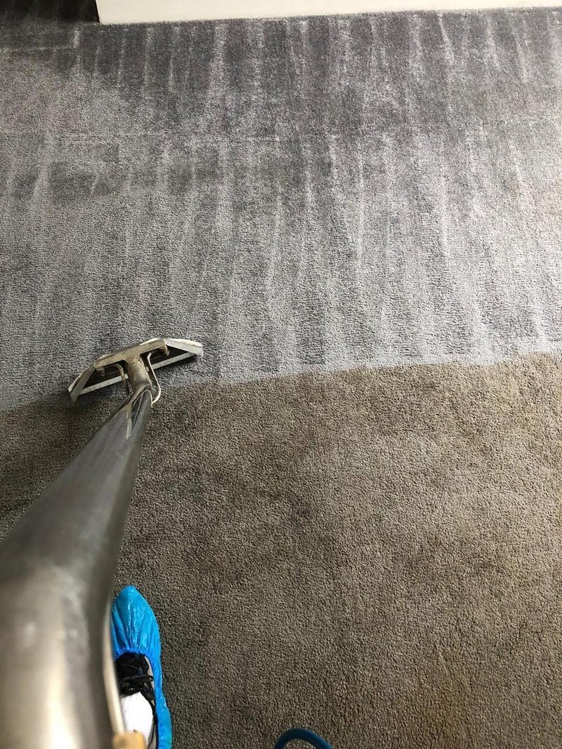 A grey carpet halfway through a clean: the top half cleaned and light, the bottom half still brown, the wand on the line between them